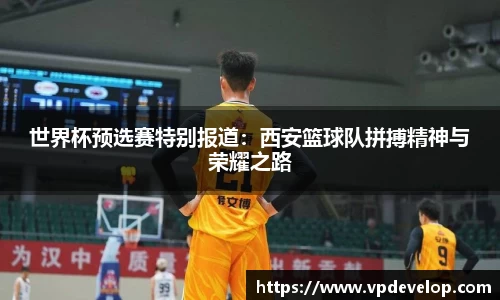 球速体育